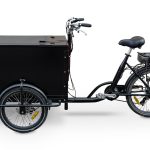 Solarelektrisches Ladefahrrad, 25 km/h, 150 kg maximale Belastung, 1 Batterie im Lieferumfang enthalten
