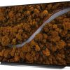 TV OLED LG OLED65CX