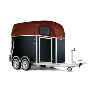 Van Duo Esprit – 2 chevaux, plywood