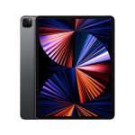 Apple iPad Pro (2021) 12,9 Zoll 1 TB Wi-Fi + Cellular Space Grey