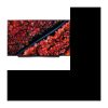 LG 65C9 OLED 4K UHD – 65″ (164 cm) – HDR – Dolby Atmos – Dolby Vision – Smart TV – 4xHDMI – 3xUSB – Energieklasse A
