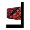 LG 55C9 OLED-Fernseher