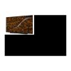 LG OLED65CX OLED-Fernseher